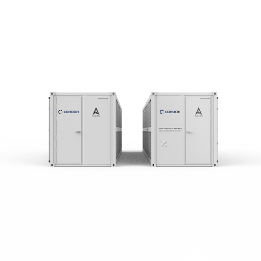 Canaan Avalon Air-cooling Mining Box 40ft container with CE certification and light grey exterior